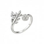 042dfc8cd165433f822b0dc089da2bf1