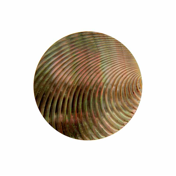 1d9bc826f17140fdbec303144bad02f5