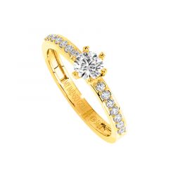 52c29cb739504545abd8cde0755f79cb