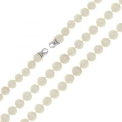 add4736d8ccc4e8391e8c1cf54a75a53